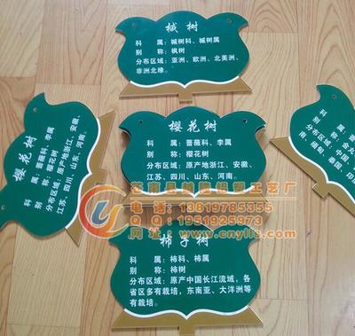 校園綠化新亮點(diǎn) 卡通樹木掛牌，讓樹木也有“身份證”